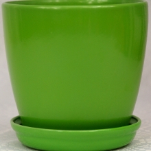 Zielony