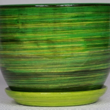zielony